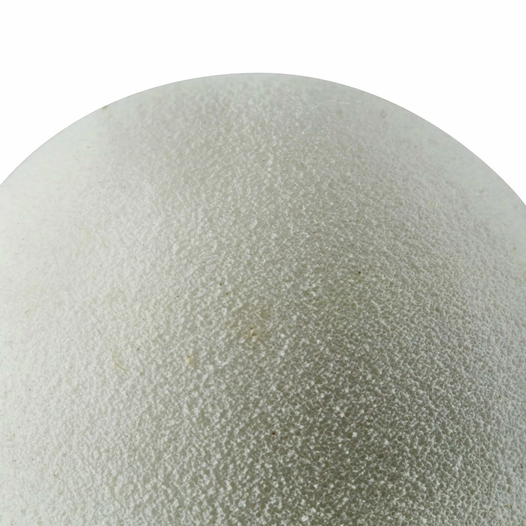 Artengo Badminton Shuttle BSC700 6-Pack