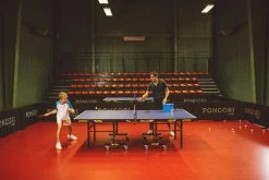 Pongori Table Tennis Set Of 2 TTR 100 Paddles And 3 TTB 100* 40+ Balls