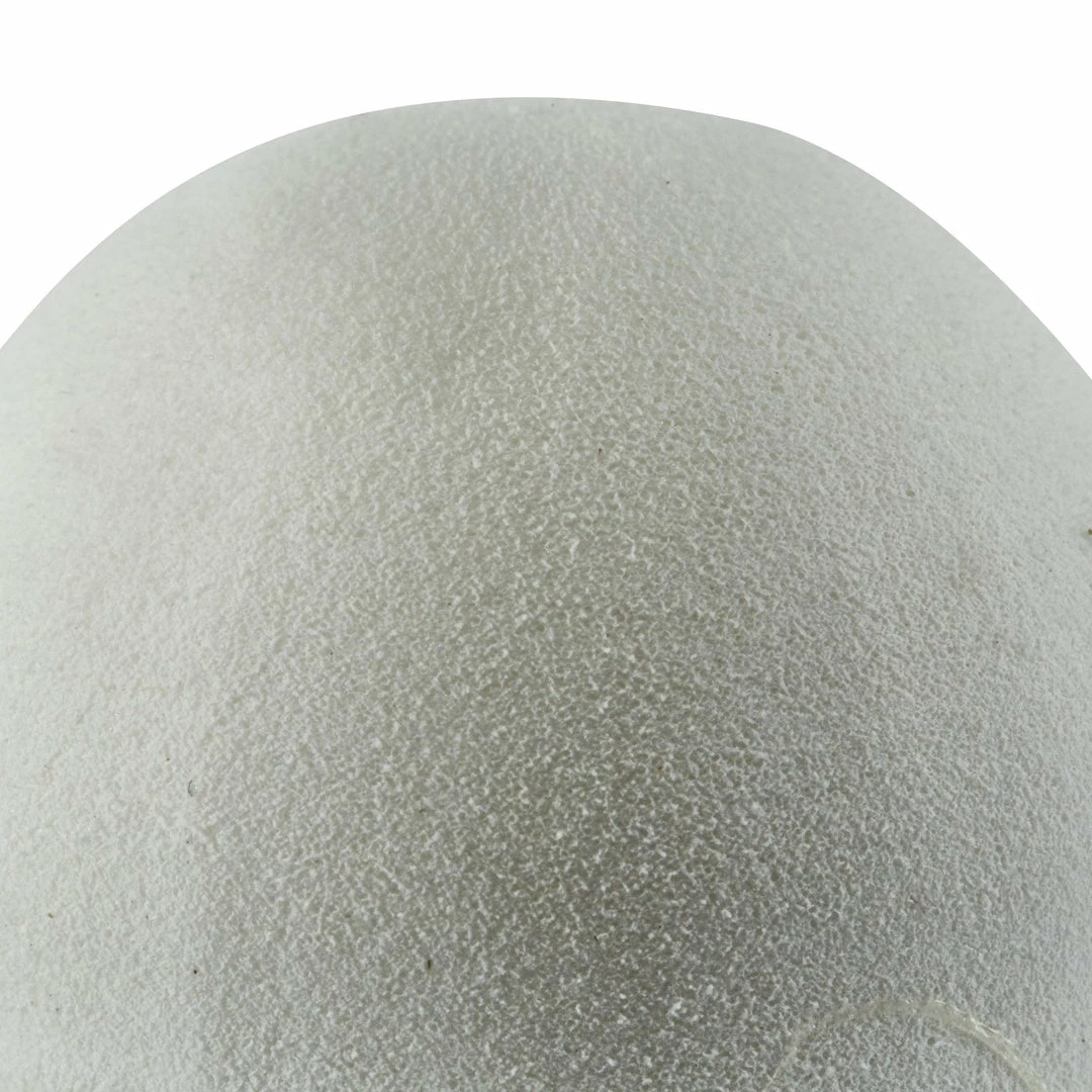 Artengo Badminton Shuttle BSC700 6-Pack